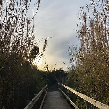 Дом отдыха Casa Mary Baia